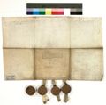 http://images.icar-us.eu/iiif/2/img%2FDE-HStAMa%2FUrk76%2FUrk. 76 Nr. 1945 Rueckseite (1644 Oktober 25).jpg/full/120,/0/default.jpg